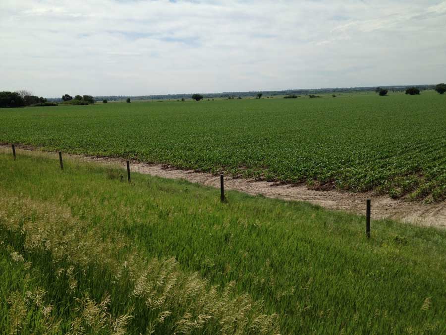 OK Real Estate and Auction, Fullerton, NE 68638