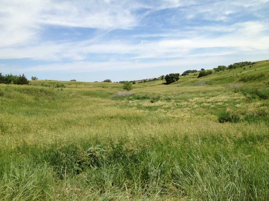 OK Real Estate and Auction, Fullerton, NE 68638