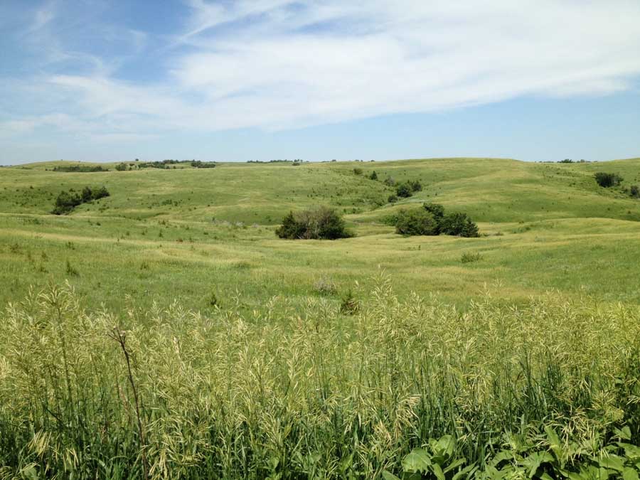 OK Real Estate and Auction, Fullerton, NE 68638