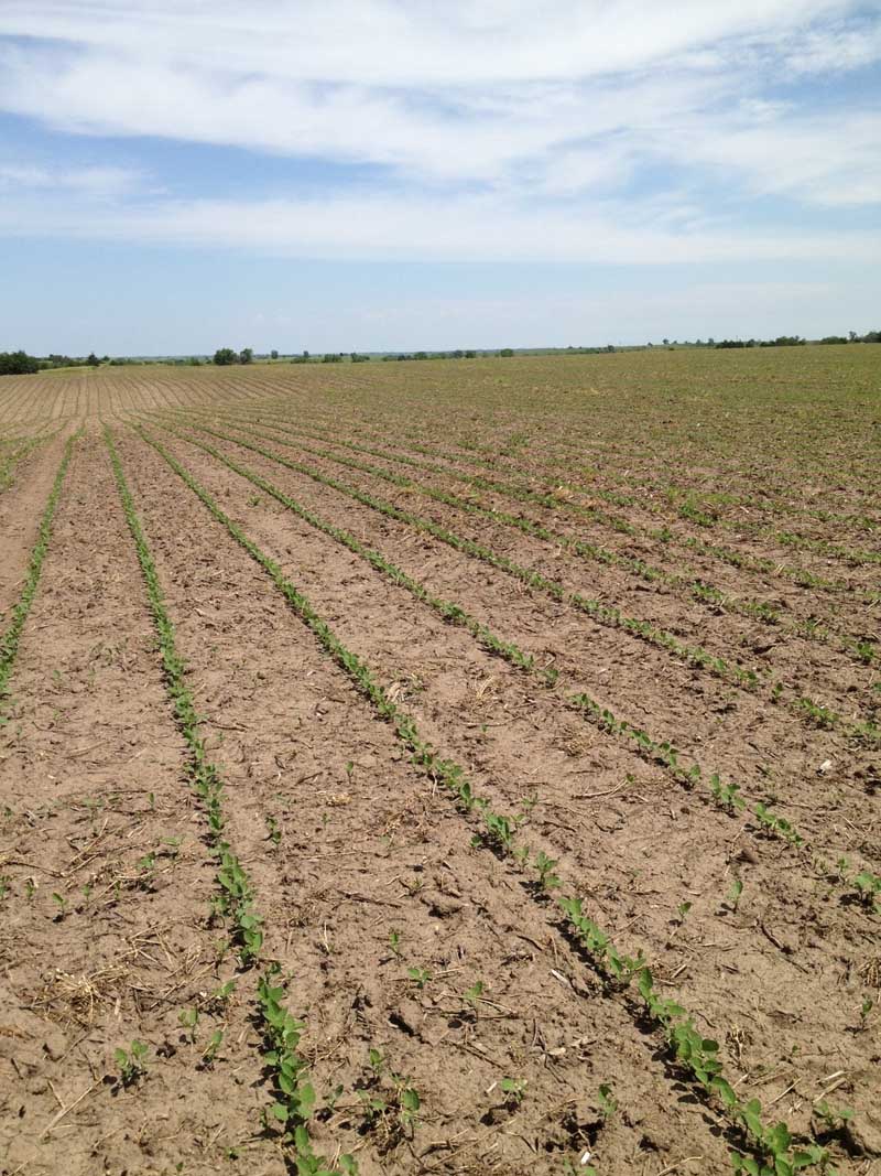 OK Real Estate and Auction, Fullerton, NE 68638